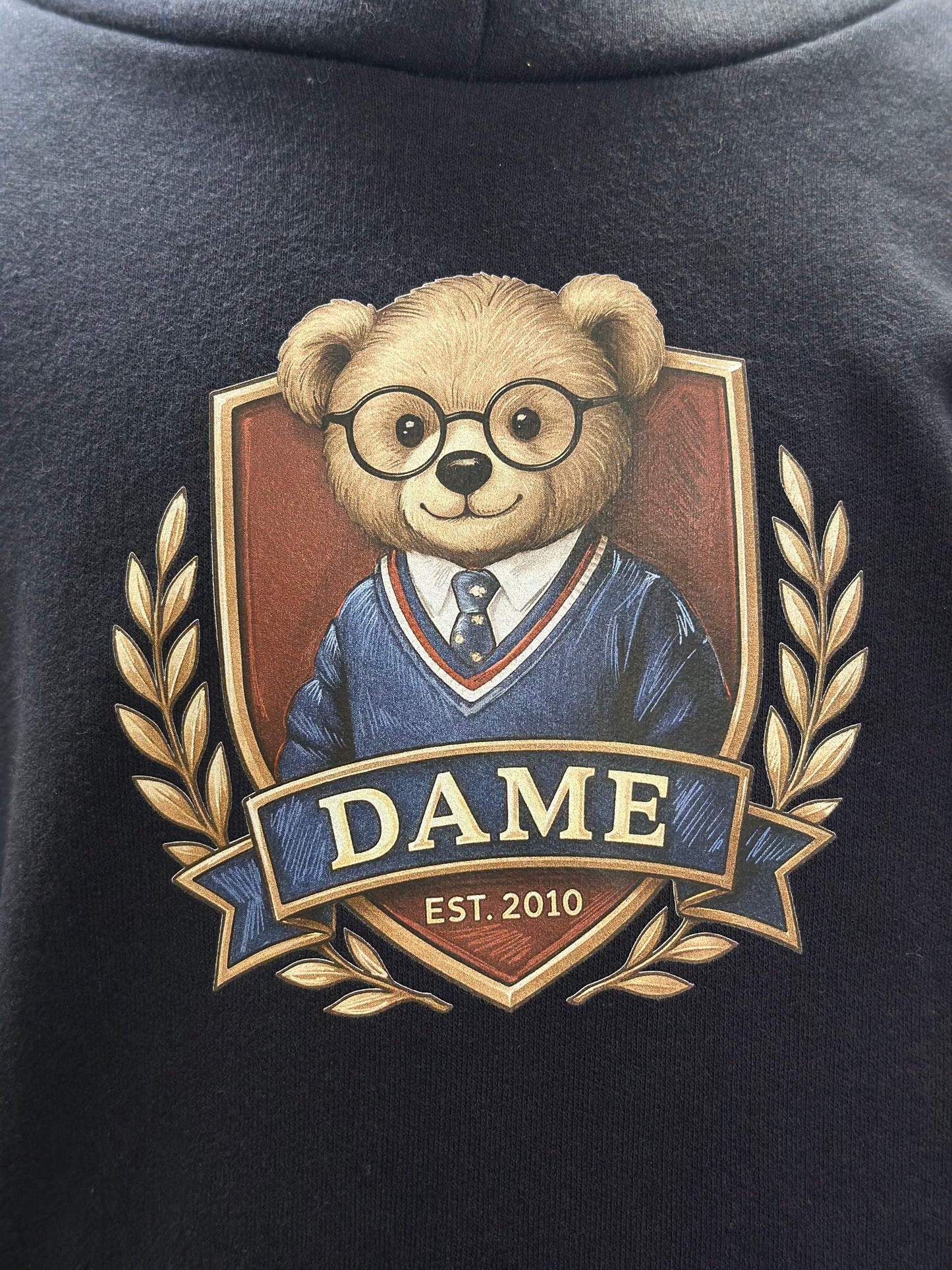 Conjunto Infantil Moletom Felpado Agasalho e Calça Teddy University Profundo - Dame