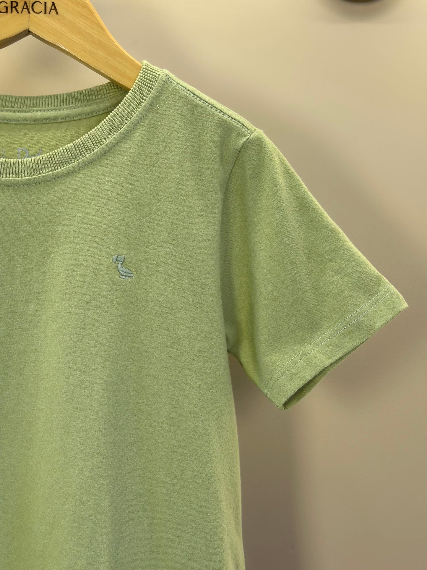 Camiseta Infantil Básica Algodão MC Verde - Dudes