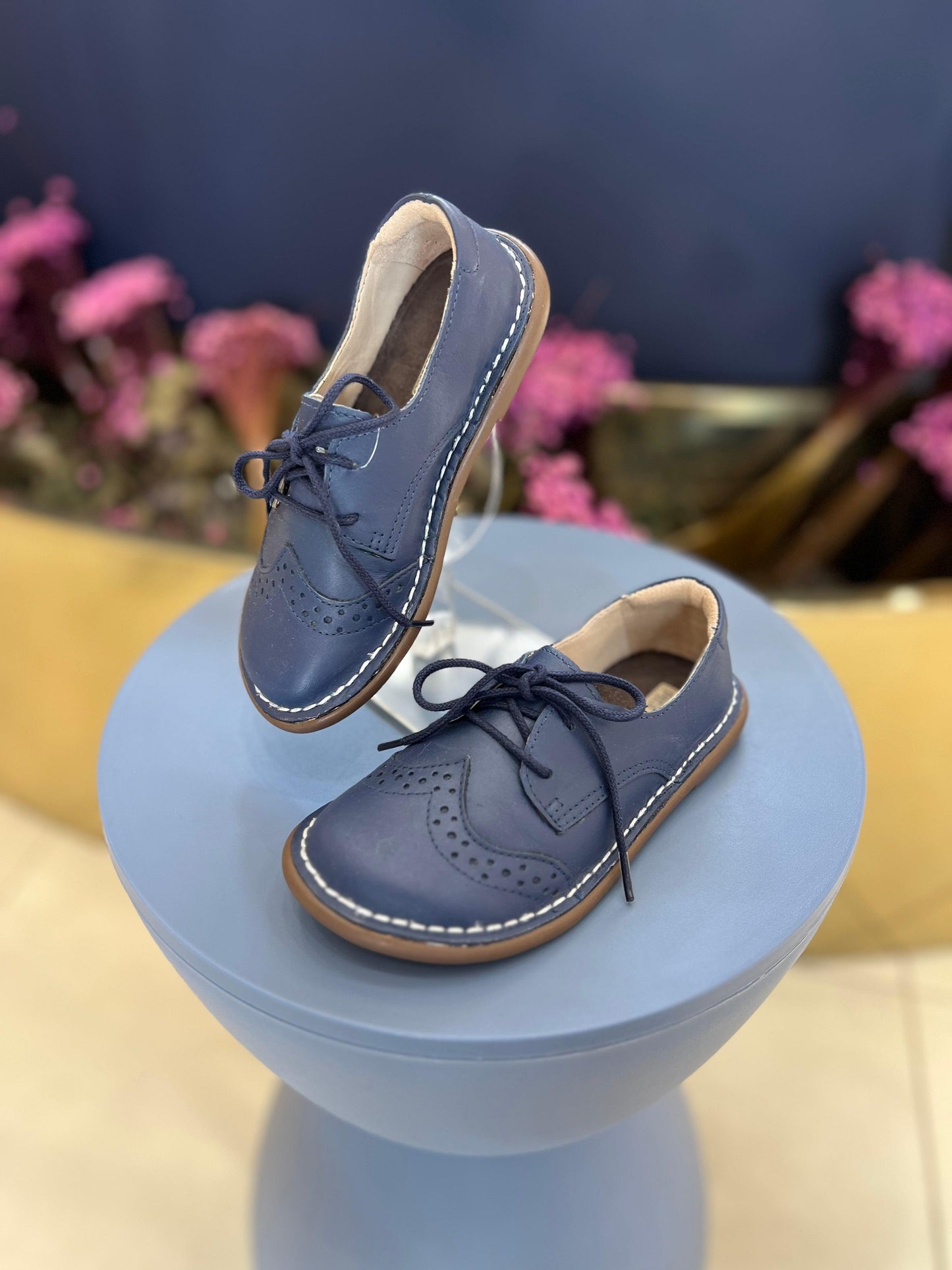 Sapato Piquenique Petit Cheval - Gracia