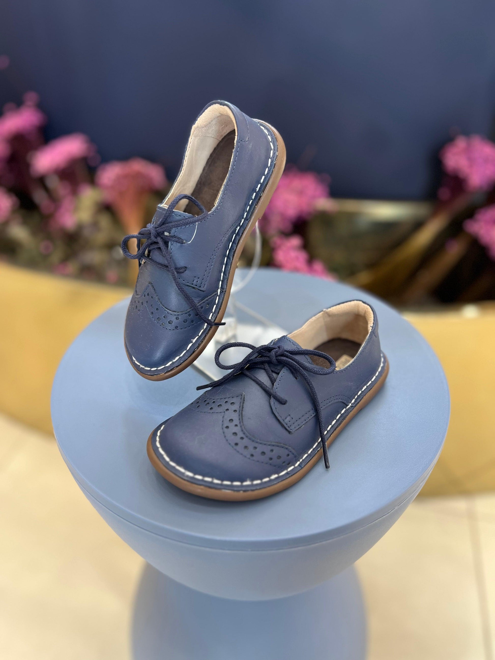 Sapato Piquenique Petit Cheval - Gracia