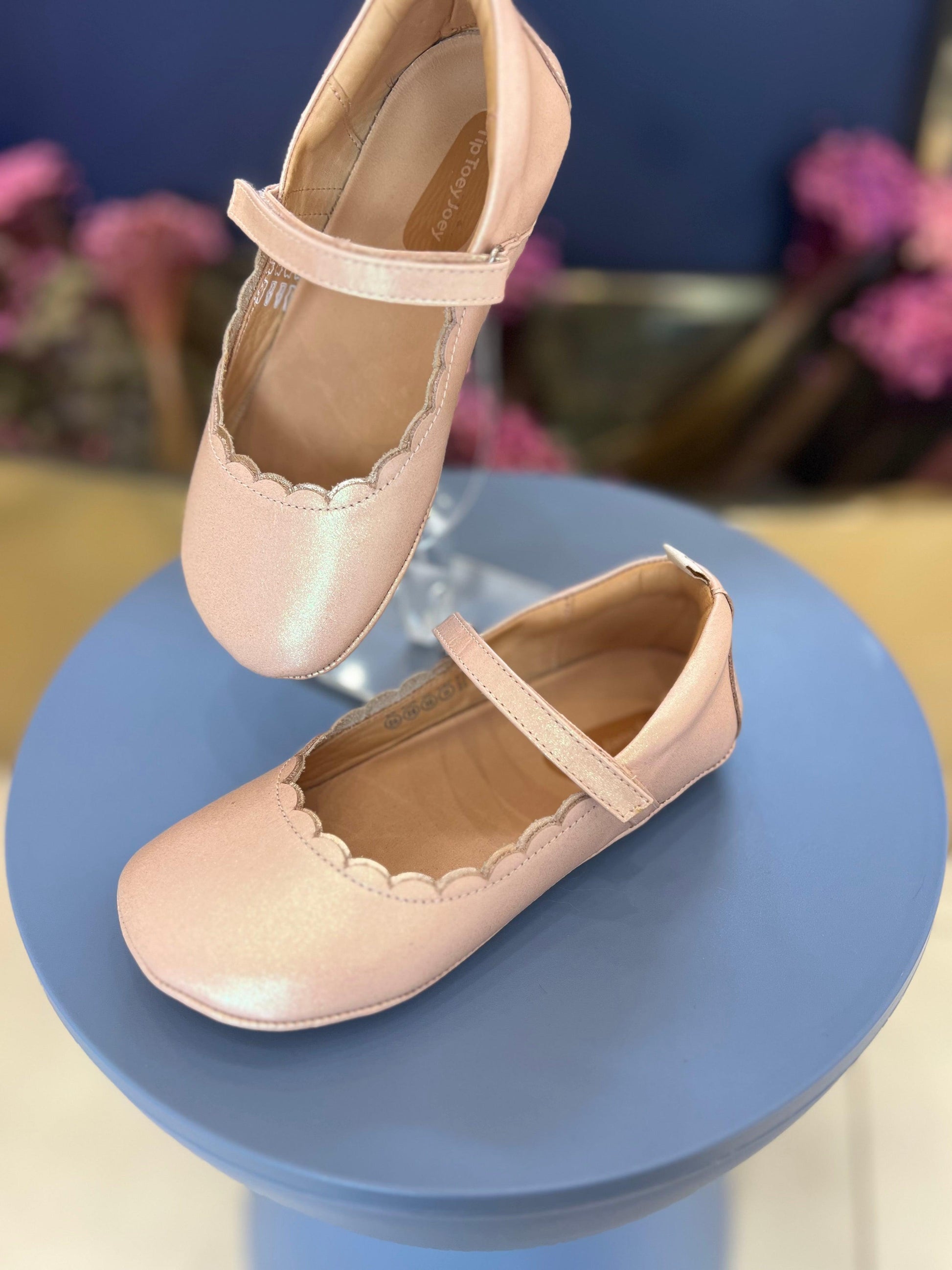 Sapatilha Misty Tip Toey Joey - Gracia
